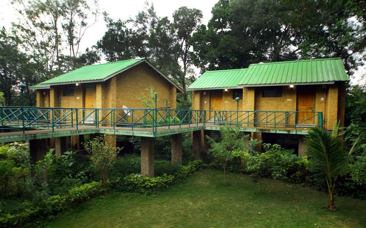 Mpt White Tiger Forest Lodge Tāla Екстериор снимка