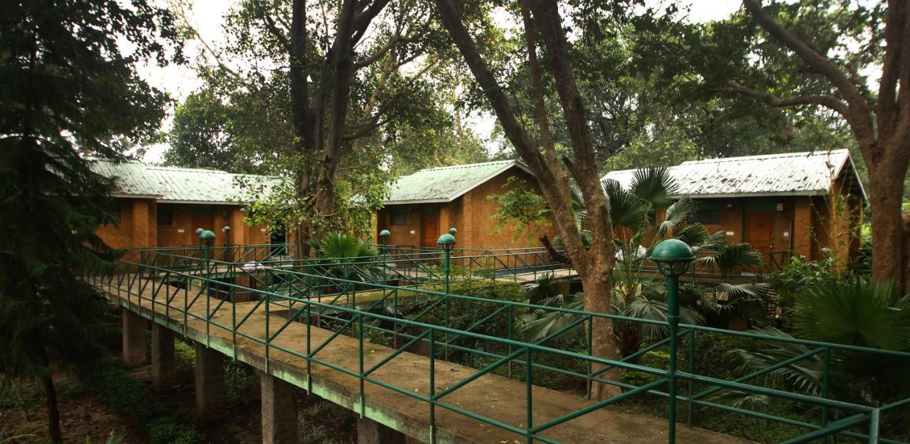 Mpt White Tiger Forest Lodge Tāla Екстериор снимка