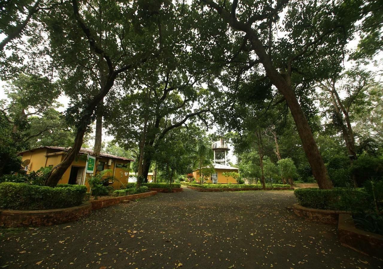 Mpt White Tiger Forest Lodge Tāla Екстериор снимка