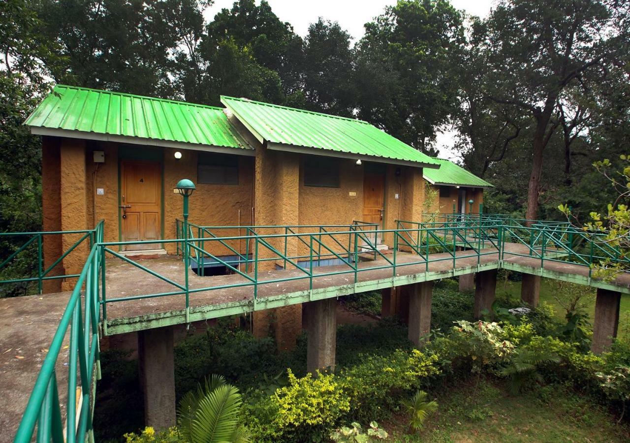 Mpt White Tiger Forest Lodge Tāla Екстериор снимка